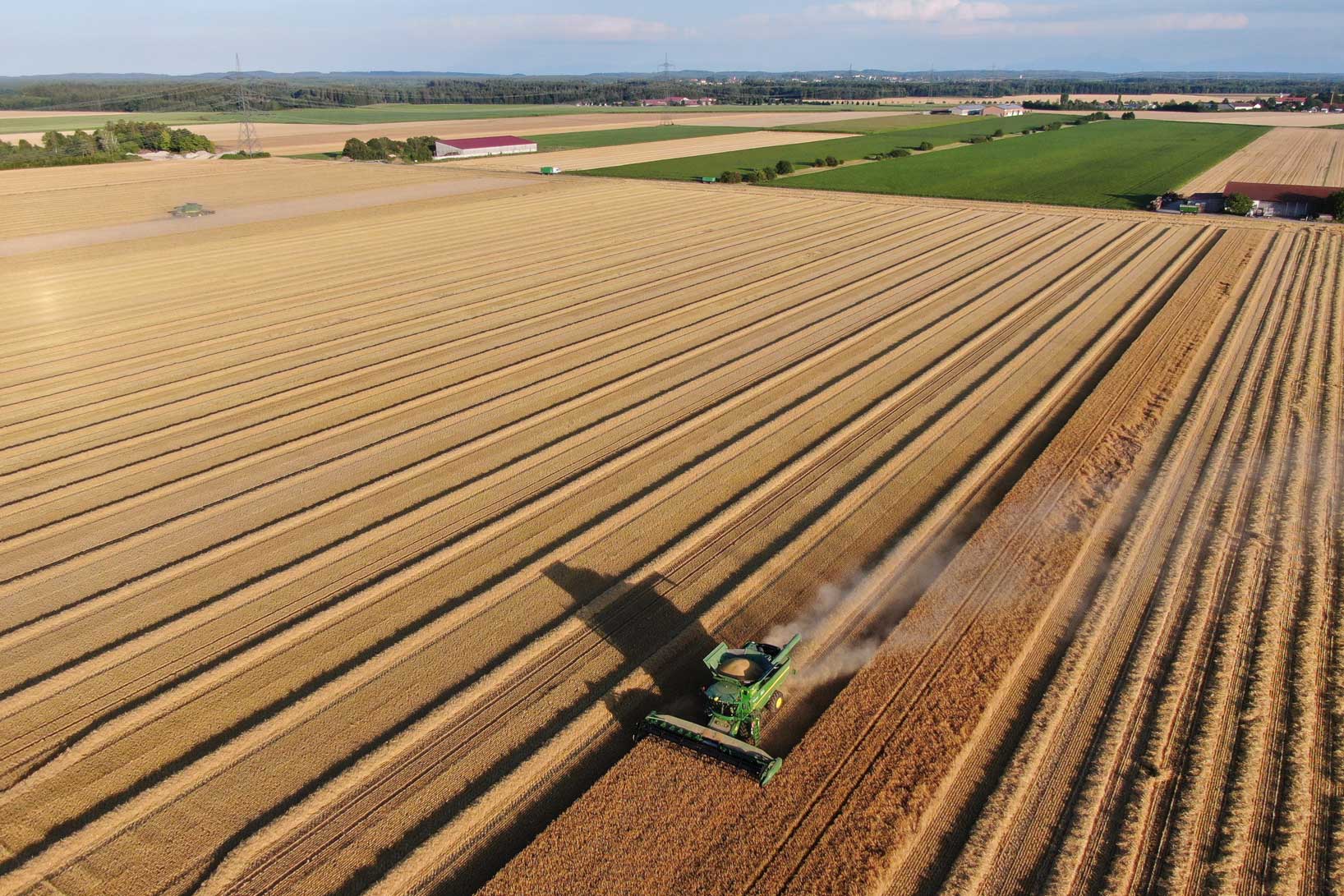 öffnet das Foto in Vollbild