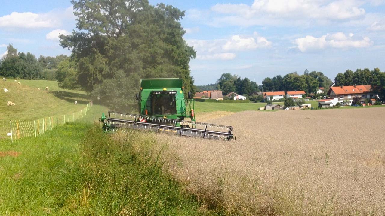 öffnet das Foto in Vollbild