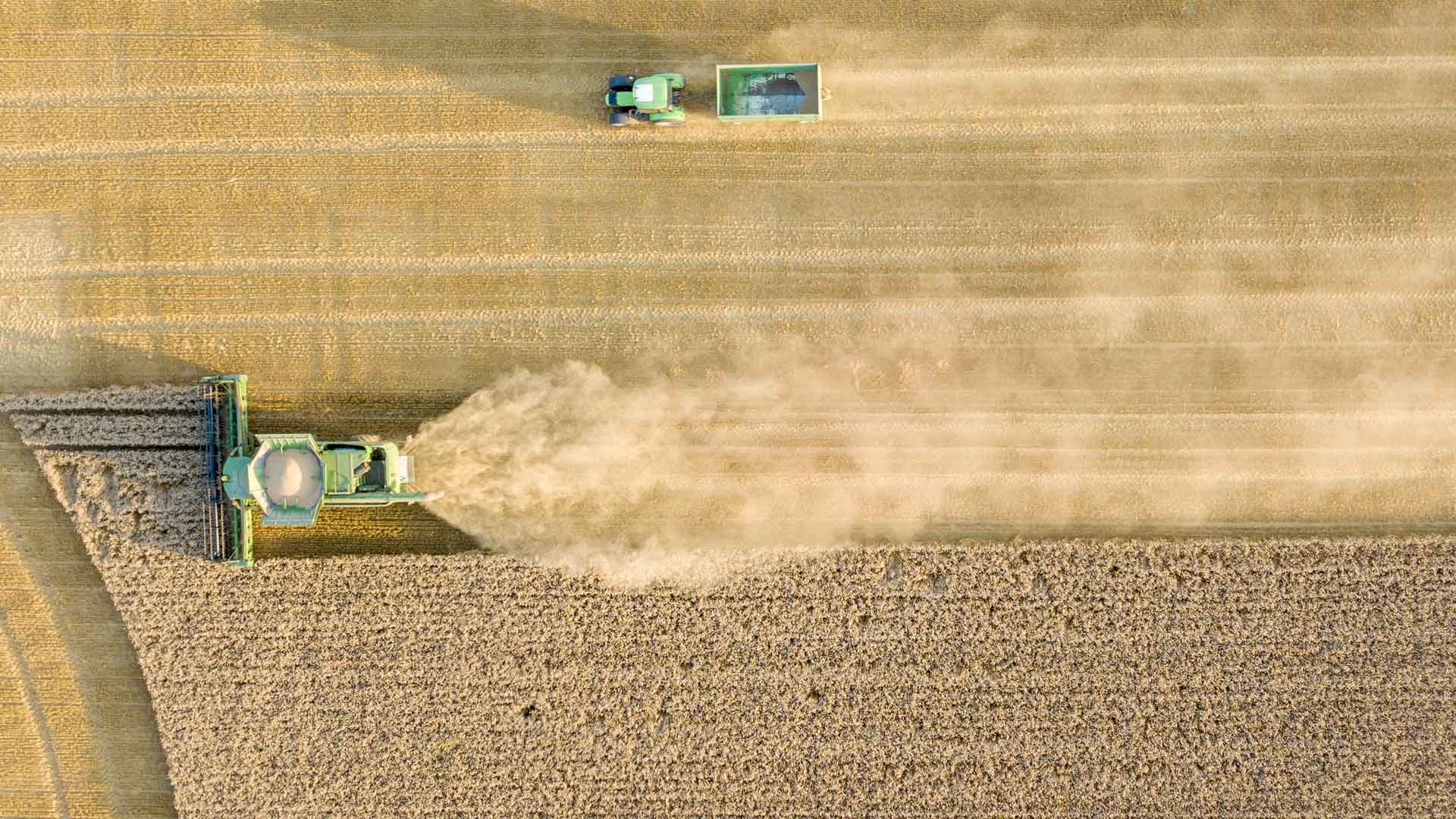 öffnet das Foto in Vollbild