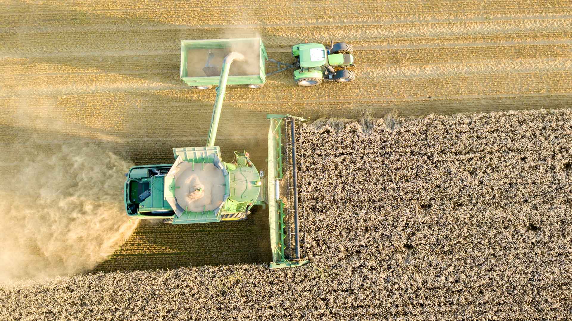 öffnet das Foto in Vollbild