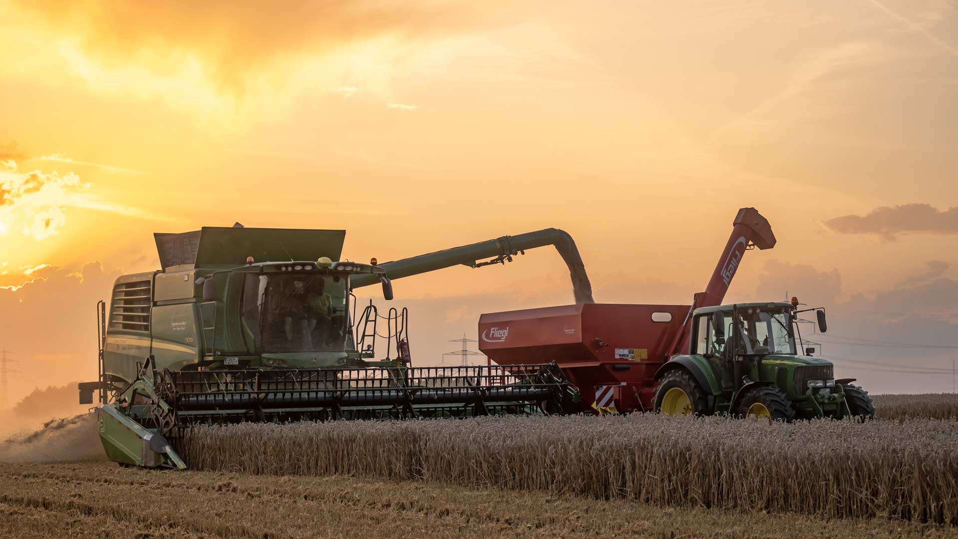 öffnet das Foto in Vollbild
